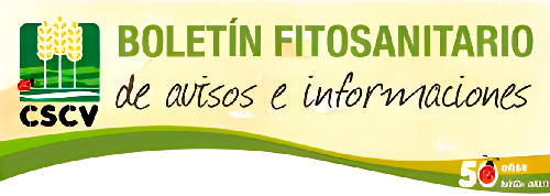 Boletín Nº 2 Marzo-Abril 2019